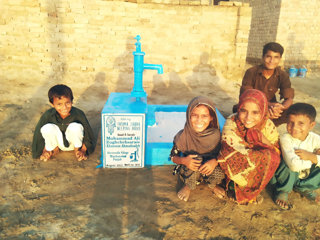 Punjab, Pakistan –  Mohammad Ali Baghchehsaraie , Khanoom Ahmadzadeh – FZHH Water Well# 810