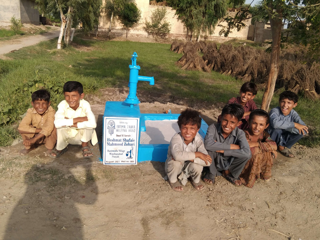 Punjab, Pakistan – Heshmat Shafaie,Mahmood Zohari – FZHH Water Well# 809