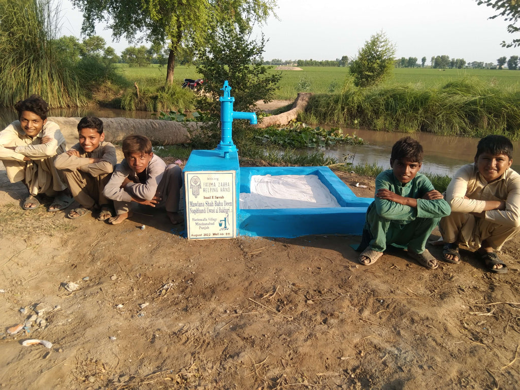 Punjab, Pakistan – Mawlana Shah Bahu Deen Naqshbandi Uwasi al Bukhari ق – FZHH Water Well# 811