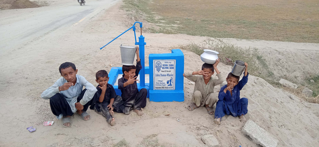 Punjab, Pakistan – Zahra Thomas-Wheeler – FZHH Water Well# 875
