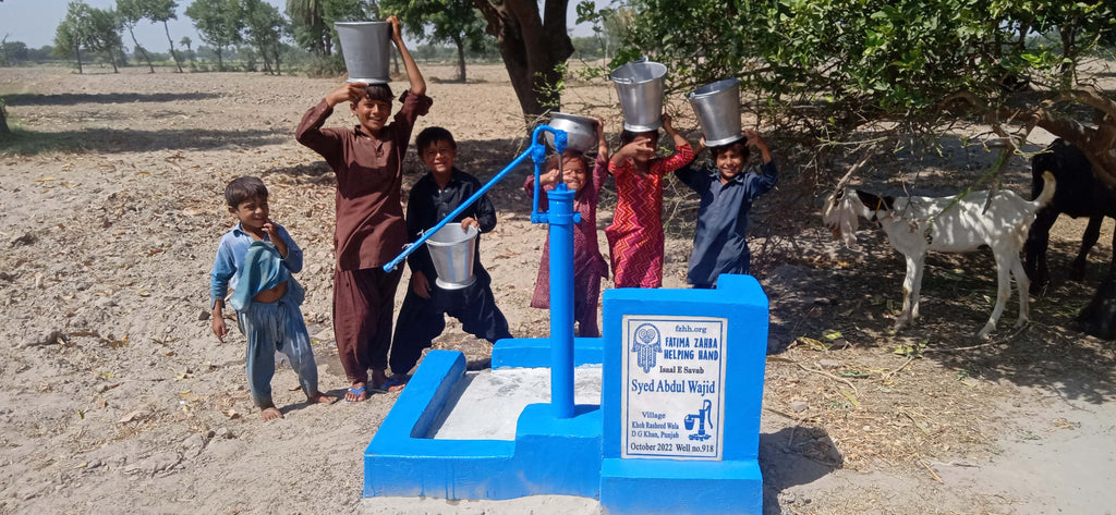 Punjab, Pakistan – Syed Abdul Wajid – FZHH Water Well# 918