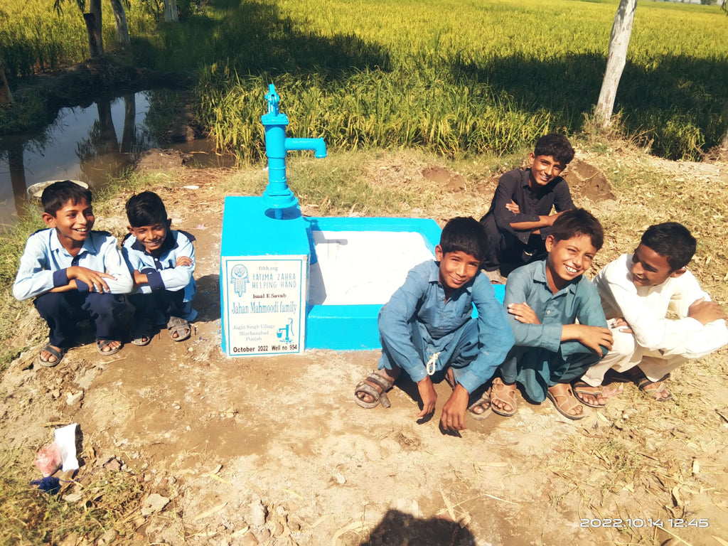 Punjab, Pakistan – Jahan Mahmoodi Family – FZHH Water Well# 954