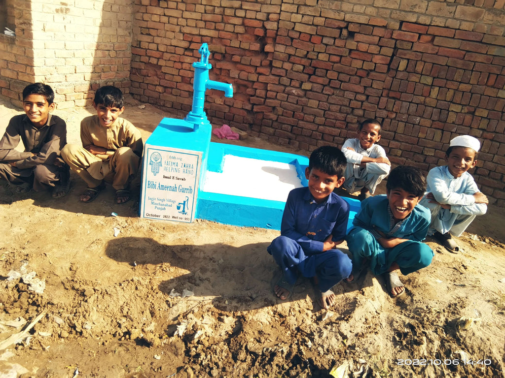 Punjab, Pakistan – Bibi Ameenah Gurrib – FZHH Water Well# 953