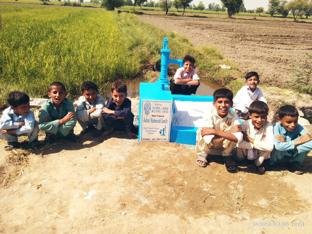 Punjab, Pakistan – Jahan Mahmoodi Family – FZHH Water Well# 955
