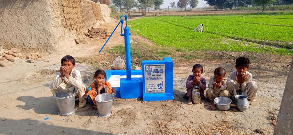 Punjab, Pakistan – Bùi Thị Ngọc Nữ (Hoa Đăng) – FZHH Water Well# 1006