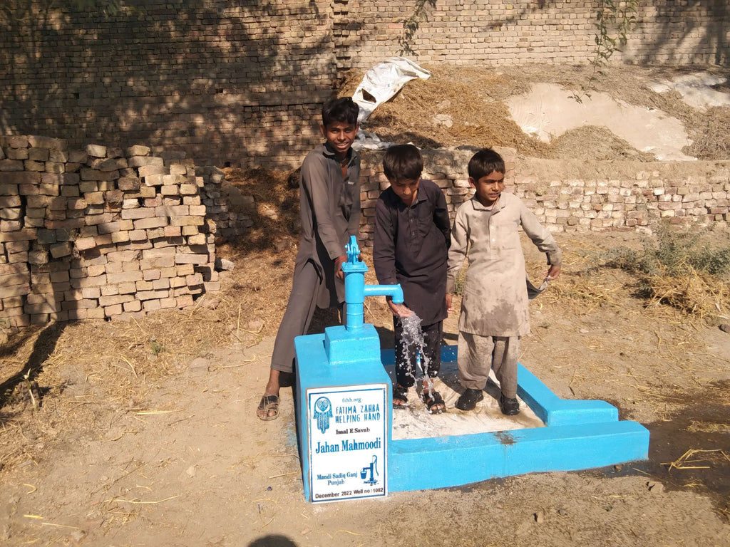 Punjab, Pakistan – Jahan Mahmoodi – FZHH Water Well# 1082