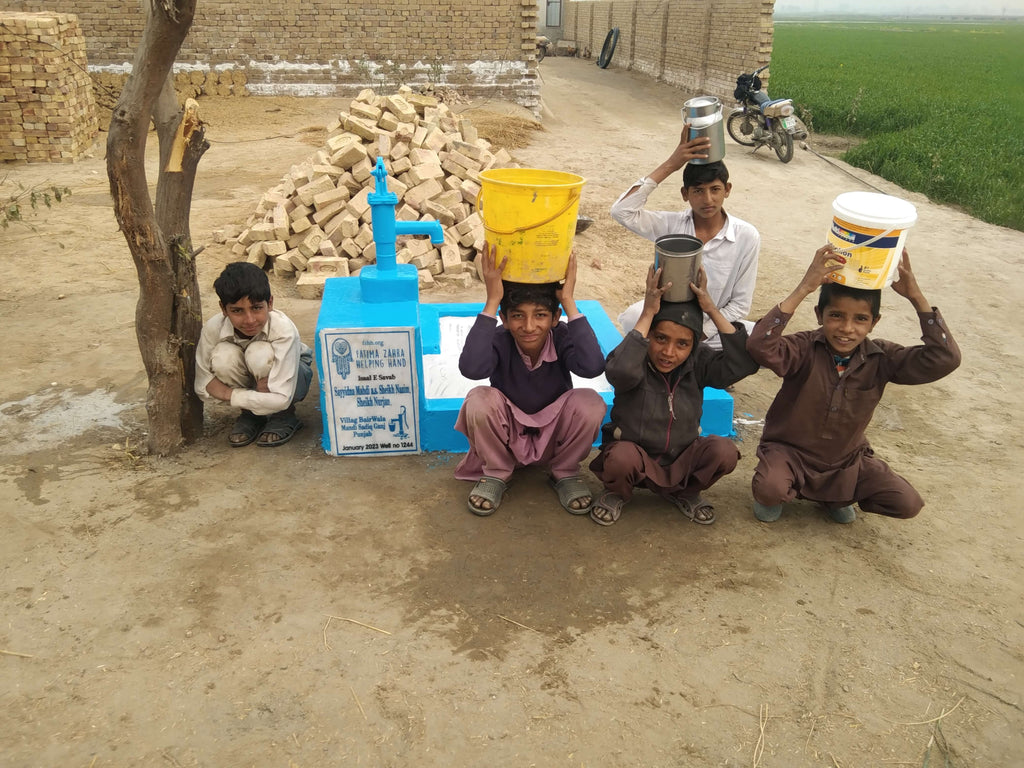 Punjab, Pakistan – Sayyidna Mahdi a.s. Sheikh Nazim, Sheikh Nurjan, – FZHH Water Well# 1244