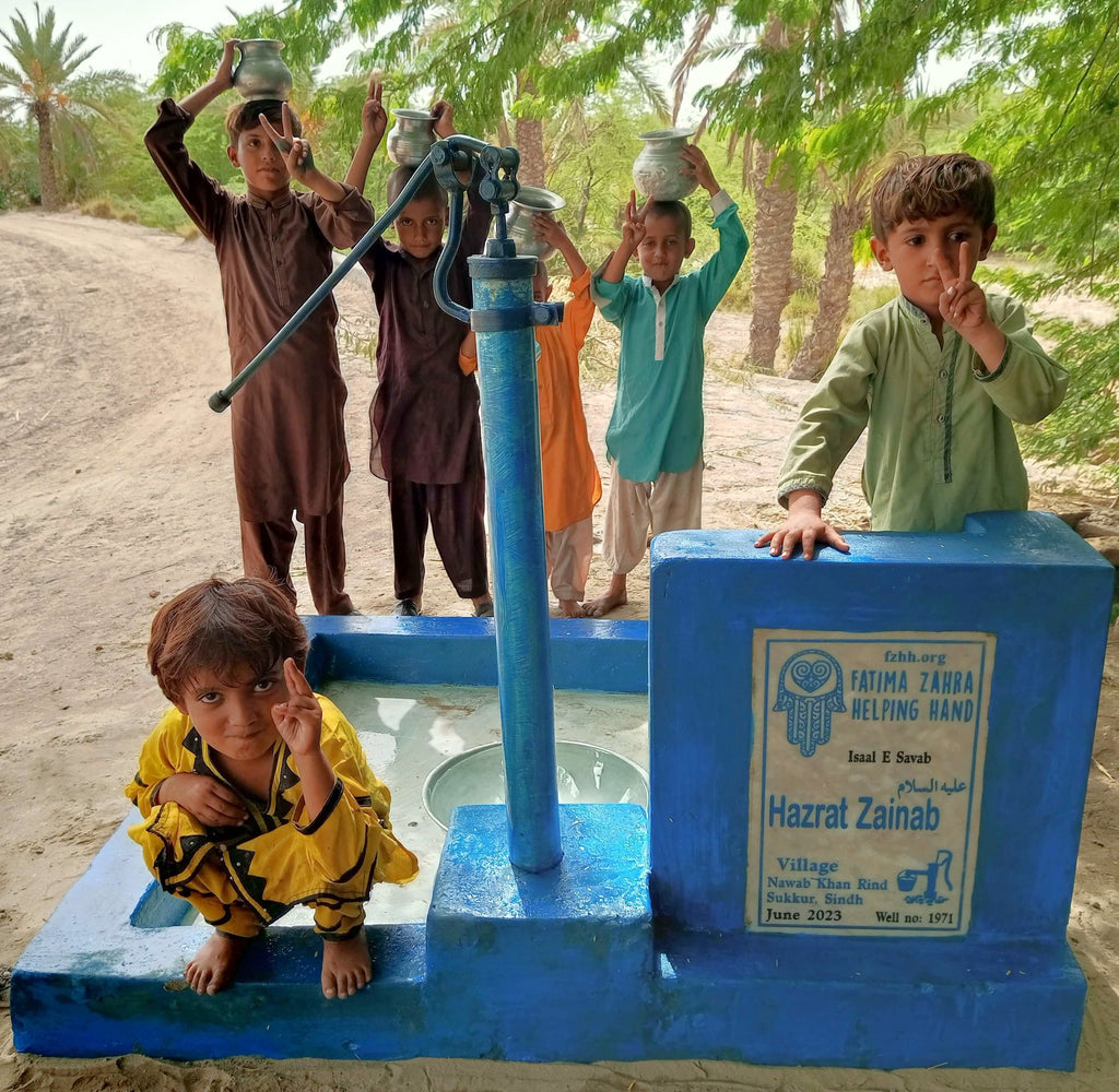 Sindh, Pakistan – Hazrat Zainab عليه السلام – FZHH Water Well# 1971