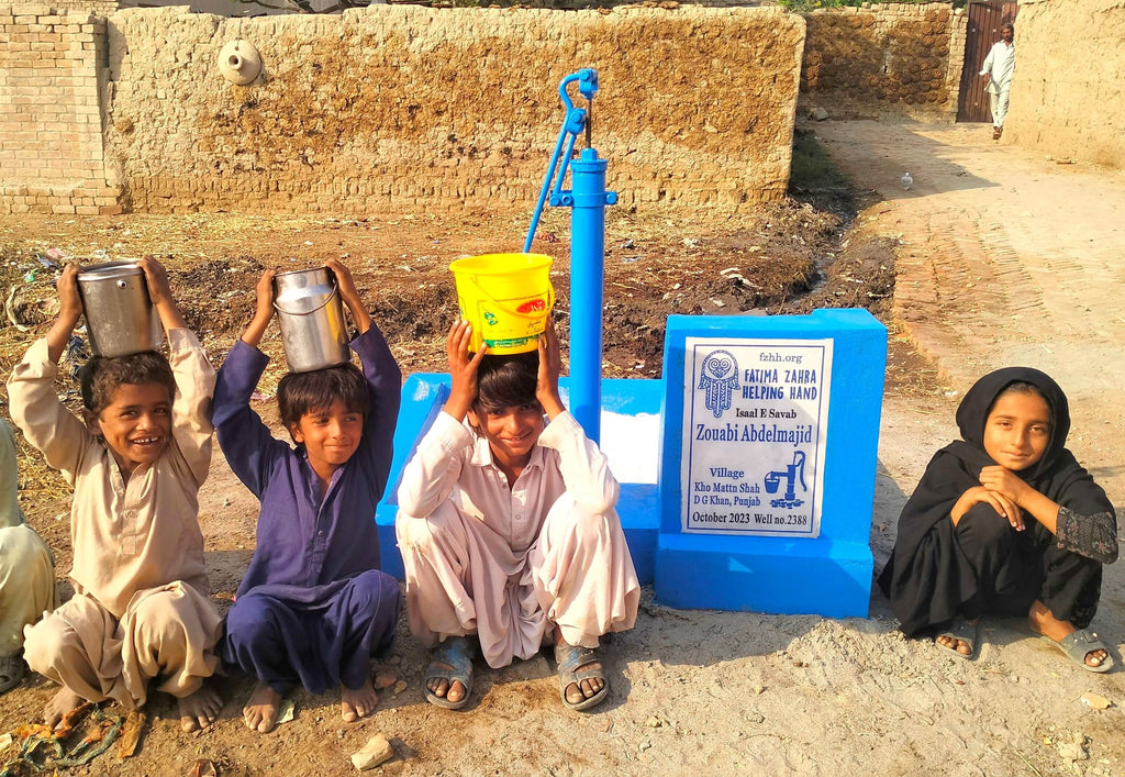 Punjab, Pakistan – Zouabi Abdelmajid – FZHH Water Well# 2388