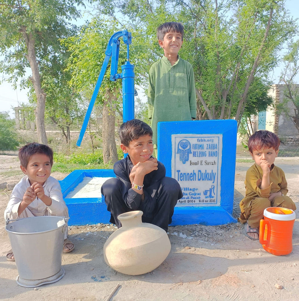 Punjab, Pakistan – Tenneh Dukuly – FZHH Water Well# 3542
