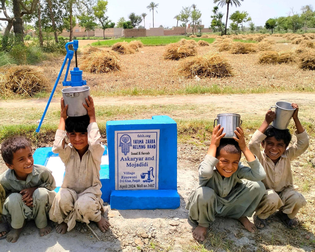 Punjab, Pakistan – Askaryar and Mojadidi – FZHH Water Well# 3487