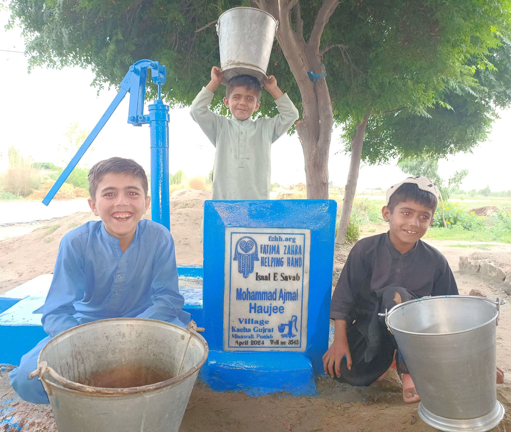 Punjab, Pakistan – Mohammad Ajmal Haujee – FZHH Water Well# 3543
