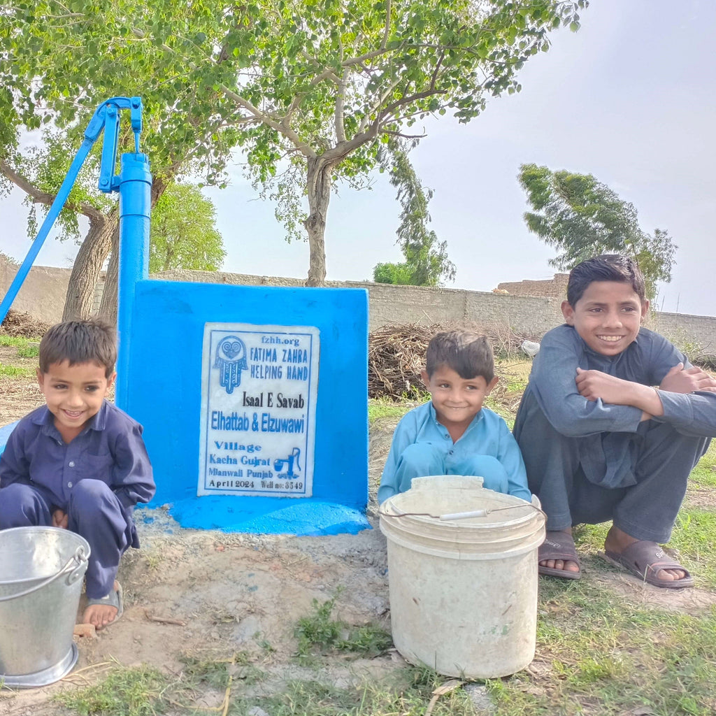 Punjab, Pakistan – Elhattab & Elzuwawi – FZHH Water Well# 3549