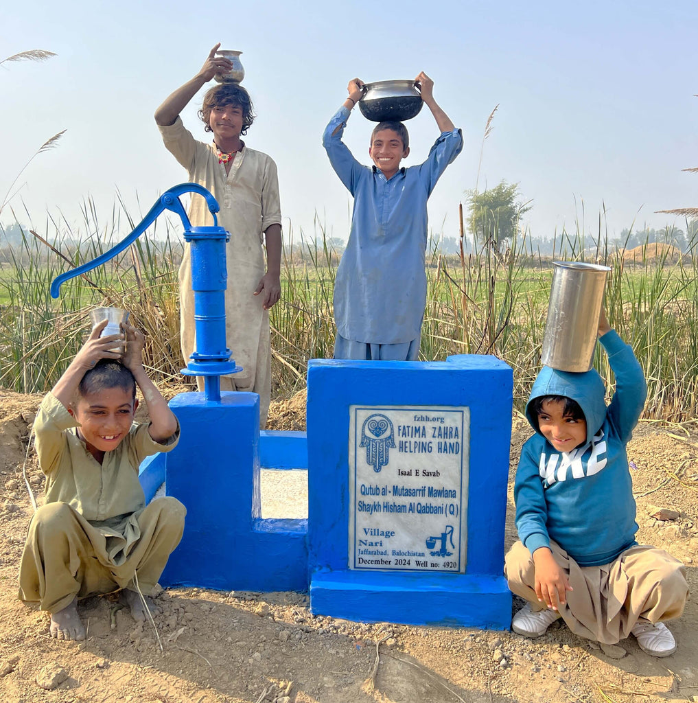 Balochistan, Pakistan – Qutub al - Mutasarrif Mawlana Shaykh Hisham Al Qabbani (Q) – FZHH Water Well# 4920 Order no  52604