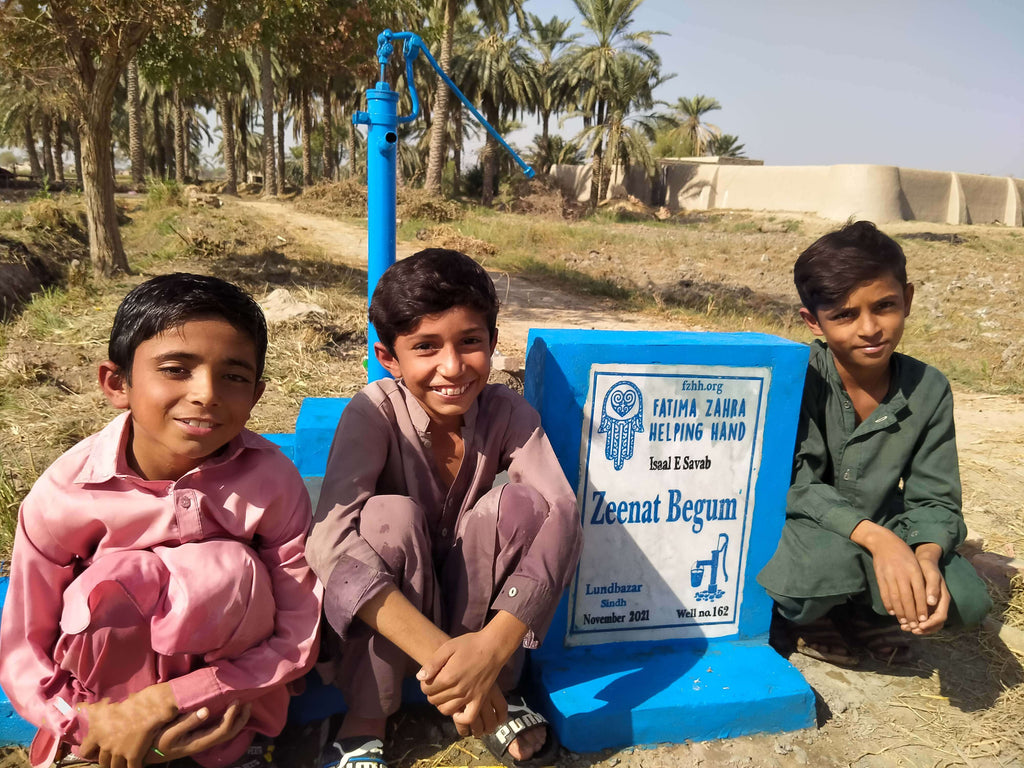 Zeenat Begum – FZHH Water Well# 162 – PK